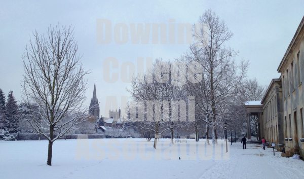 Downing Greetings Cards (Pack of 6)