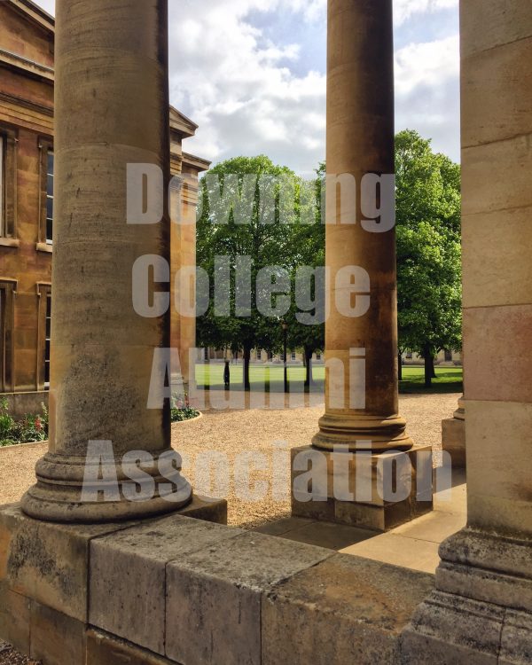 Digital Download - The Pillars of Downing