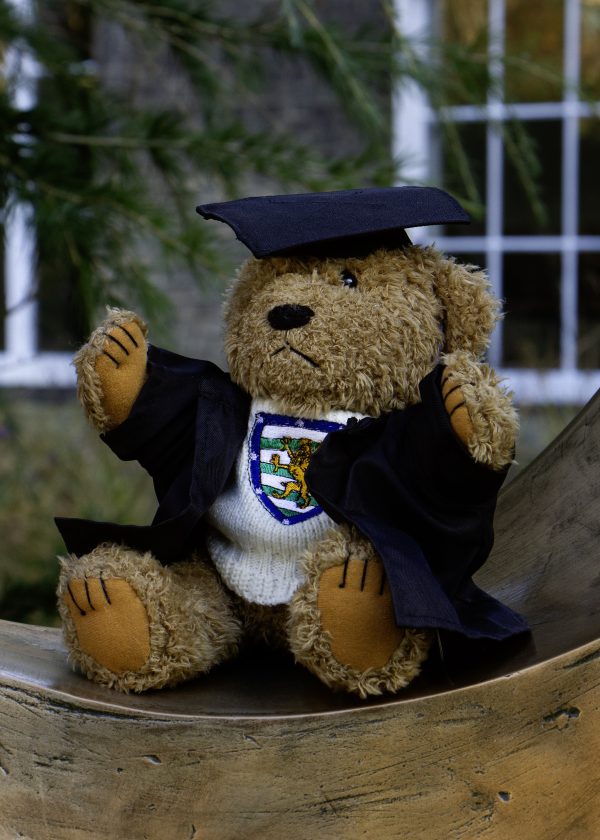 Teddy Bear, Cap and Gown - Image 3