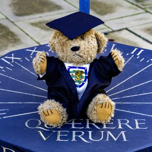 Teddy Bear, Cap and Gown
