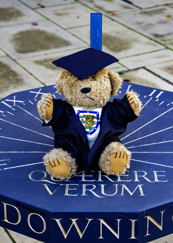 Teddy Bear, Cap and Gown