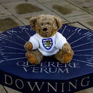 Teddy Bear